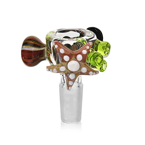 Category - Sealife Bowls