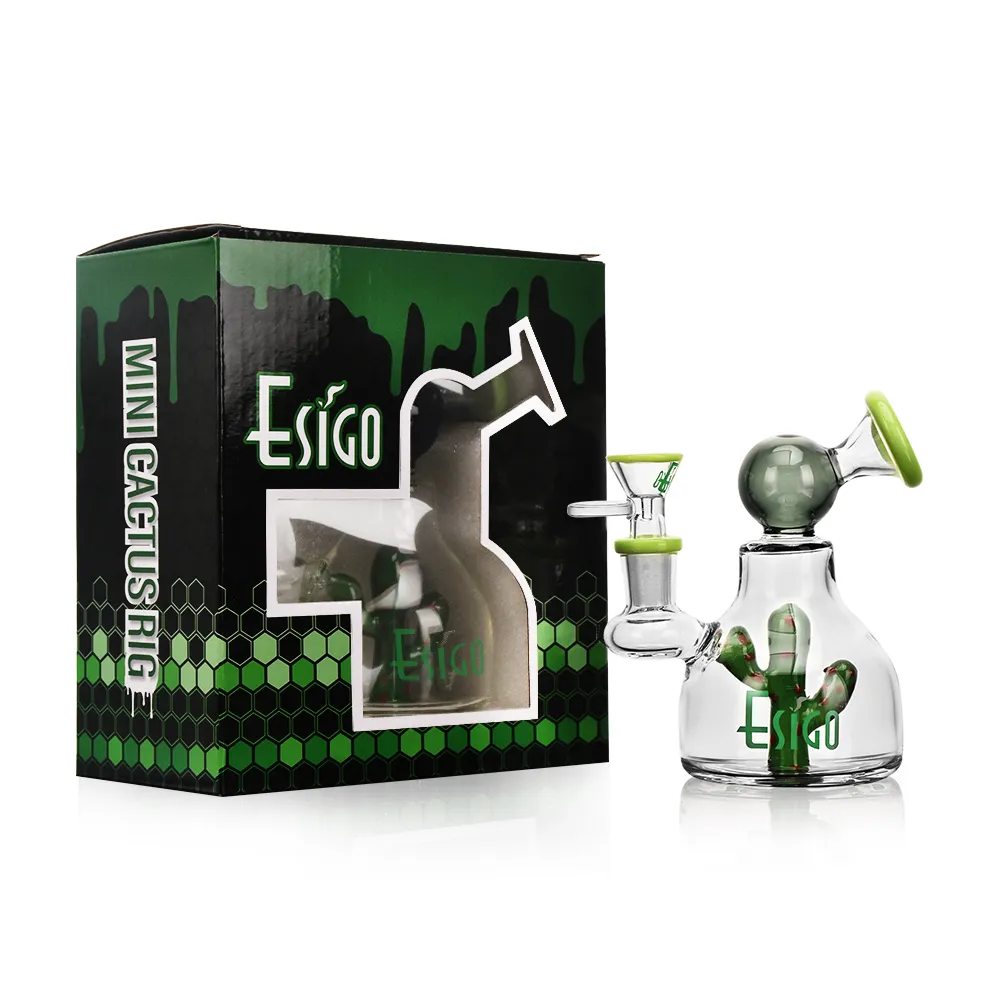 ES24764 EG Glass Mini Cactus Rig in green color with gift box packaging
