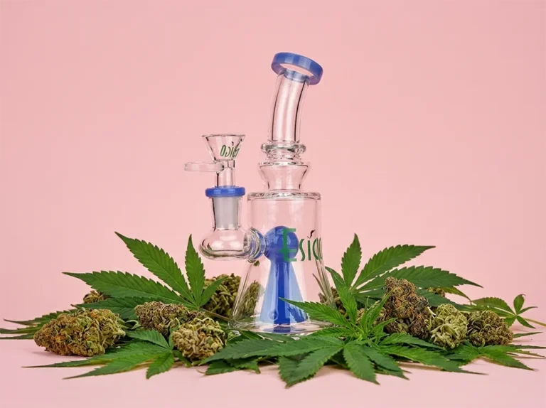 Eco-Friendly & Portable Glass Bongs Wholesale 2026: Discreet and Sustainable Options for Modern Retailers