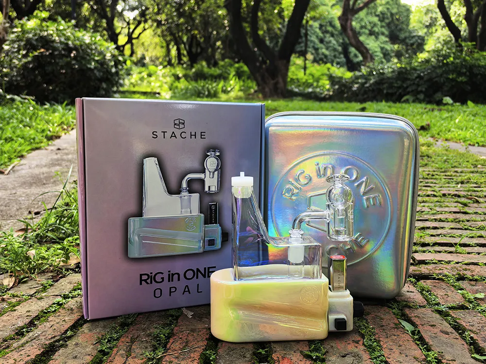 Rig in One modern tech-focused dab rigs by Stache